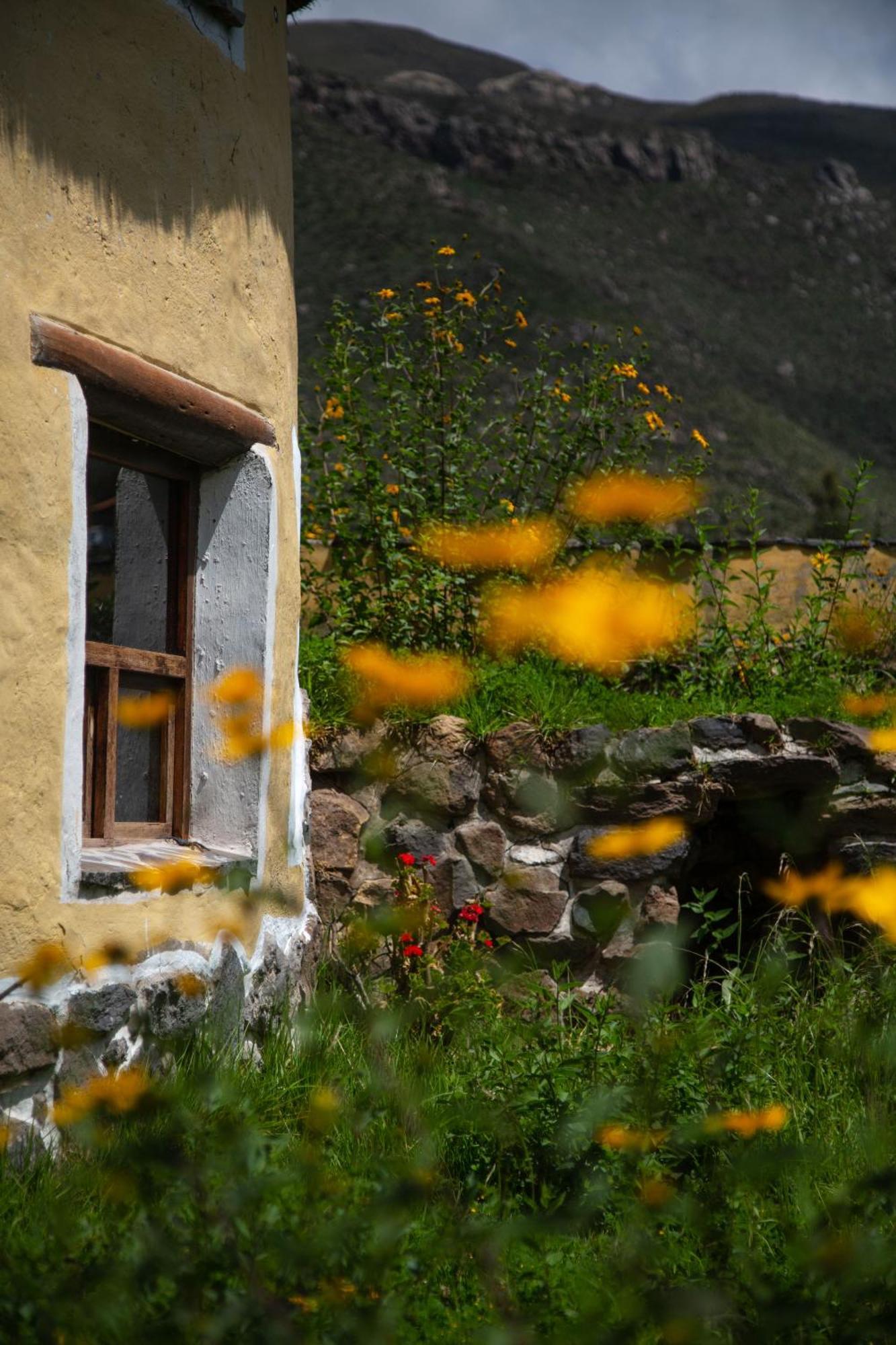 Ayni Wasi Guest House Coporaque Екстериор снимка